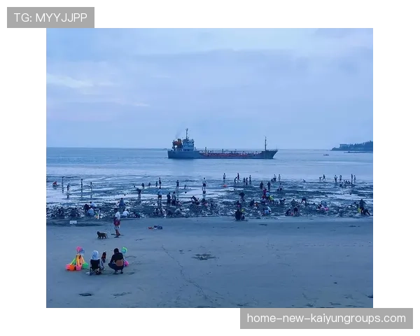 台风后赶海成惠州独特旅游体验，惠州赶海视频